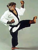 karate